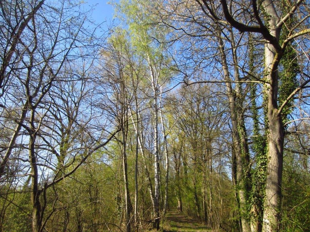 Équipe Pépinière Grinner - Contact